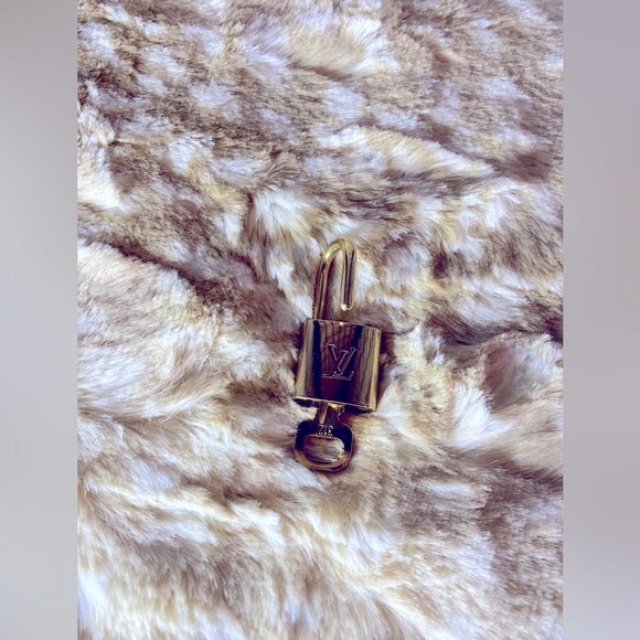 Louis Vuitton Lock and Key #312 - Picture 6 of 8